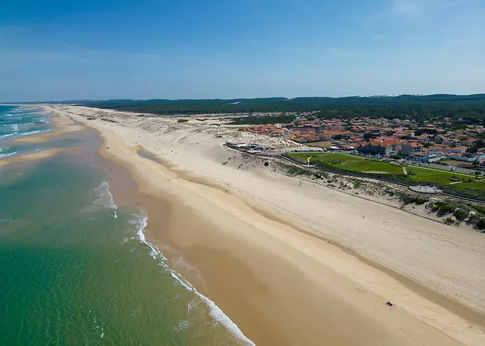 Cosi Pres Des Dunes, Pour 6, - Fr-1-319-342 アパート ビスカロッス・プラージュ